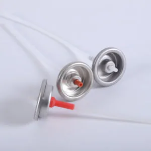 Bag-on-Valve valve assemblies with internal bags in the source image