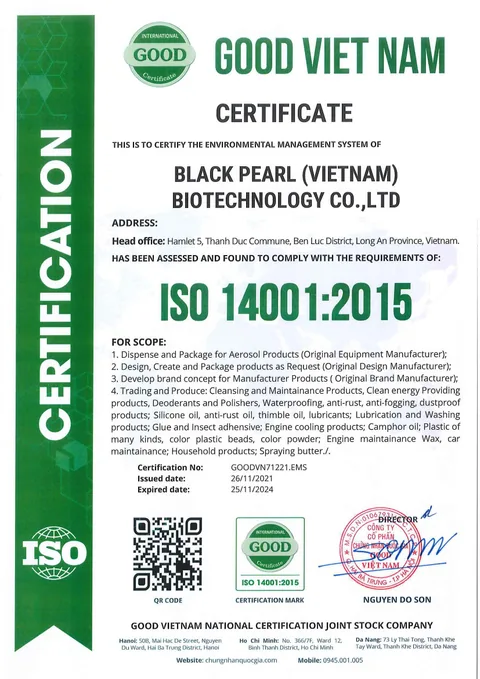 English ISO 14001 document shown in the source image