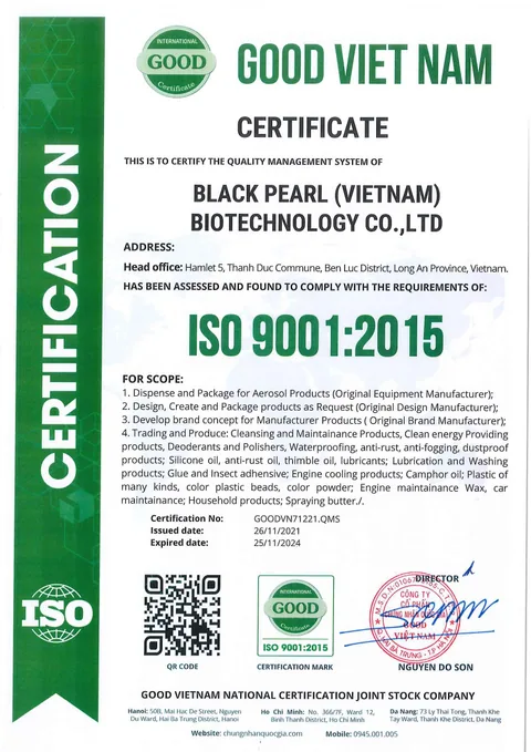English ISO 9001 document shown in the source image