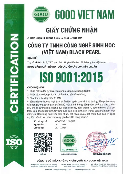 Vietnamese ISO 9001 document shown in the source image